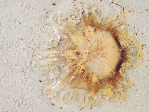 Processed with VSCOcam with f2 preset