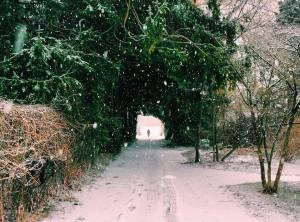 10300871_10152462954242541_5084286778521608079_n