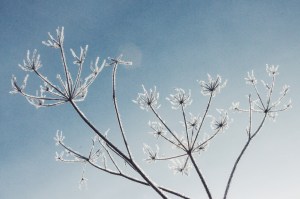 Processed with VSCOcam with f2 preset