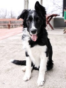 Processed with VSCOcam with se3 preset