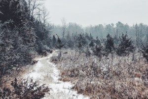 Processed with VSCOcam with f2 preset