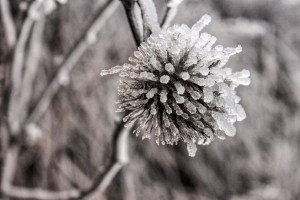 Processed with VSCOcam with se3 preset