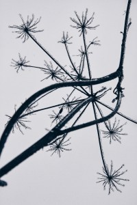 Processed with VSCOcam with hb1 preset